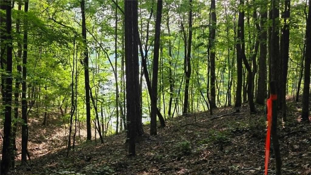 unimproved land for sale at 0 Lucas Lane, Dallas, GA 30132 — photo 3