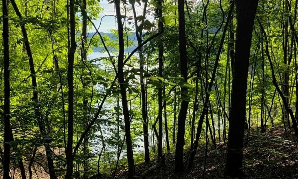 unimproved land for sale at 0 Lucas Lane, Dallas, GA 30132 — photo 4