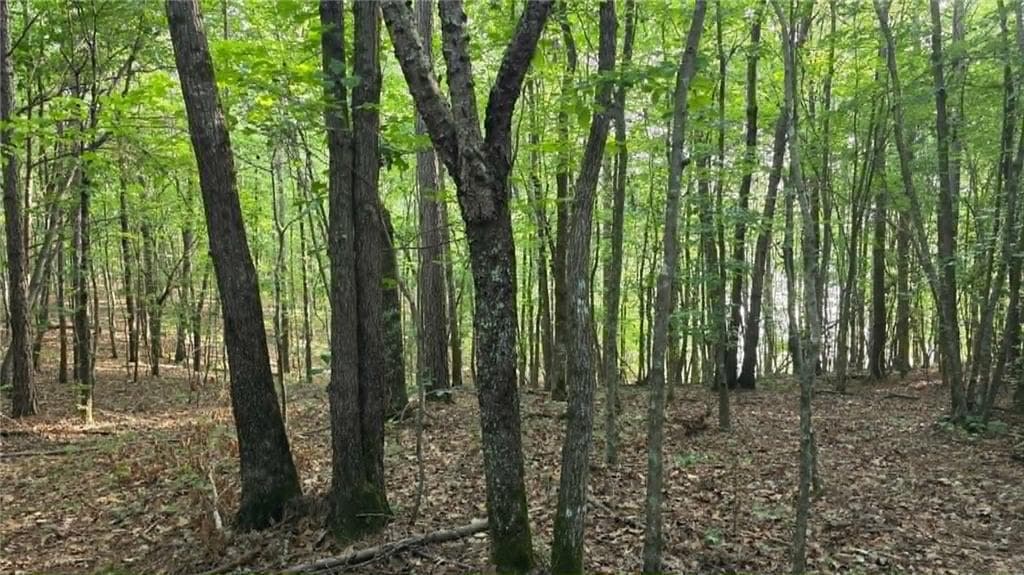 unimproved land for sale at 0 Lucas Lane, Dallas, GA 30132 — photo 8