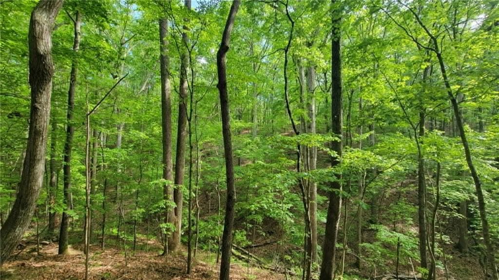 unimproved land for sale at 0 Lucas Lane, Dallas, GA 30132 — photo 9