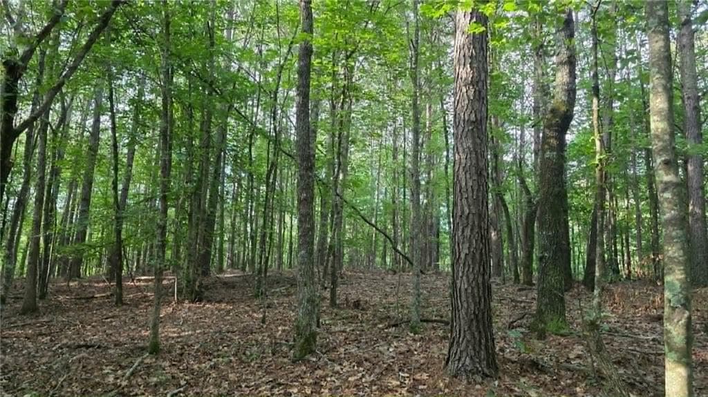 unimproved land for sale at 0 Lucas Lane, Dallas, GA 30132 — photo 10