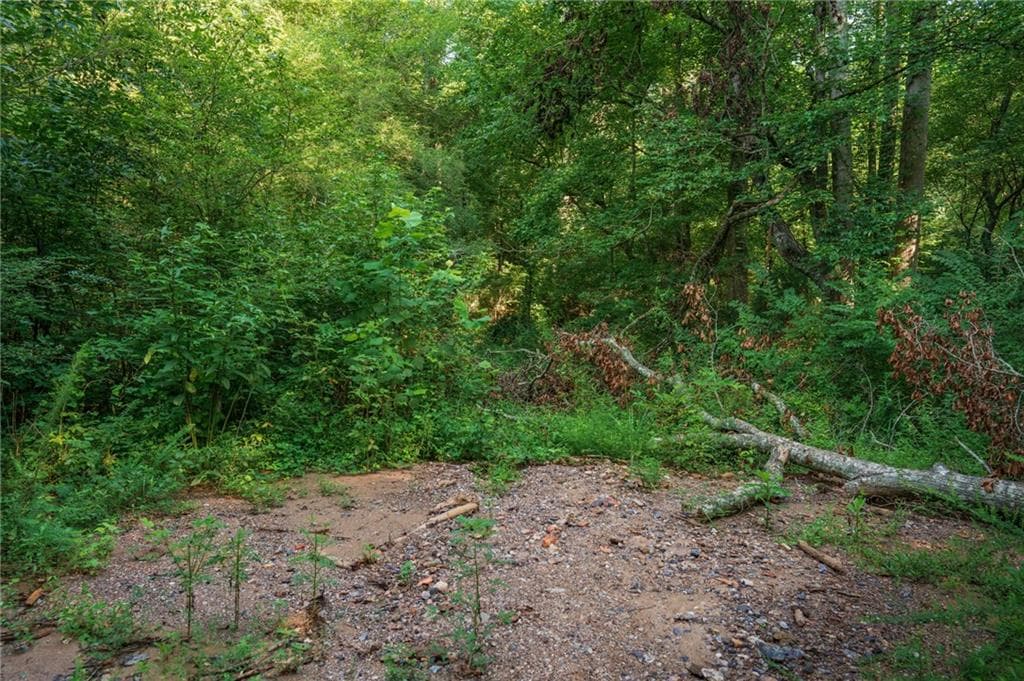 single family residence for sale at 00 Bill Smith Drive, Canton, GA 30114 — photo 10