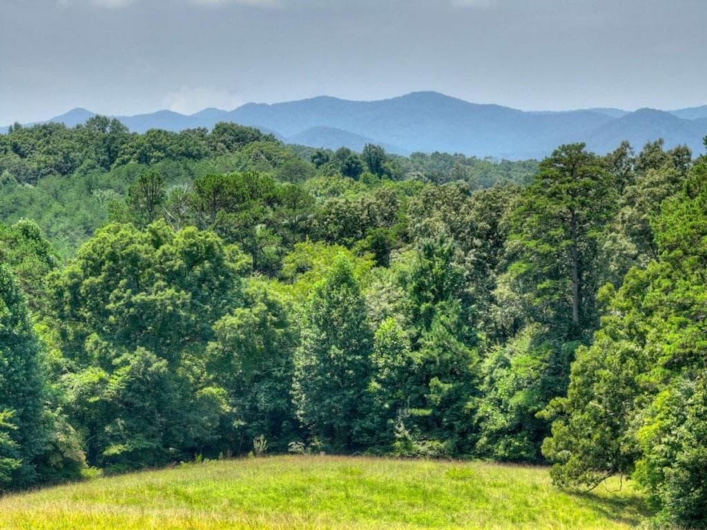 3 bedroom, 2 bathroom, 1,796 sq ft single family residence for sale at 210 Lavista Drive, Blue Ridge, GA 30513 — photo 4
