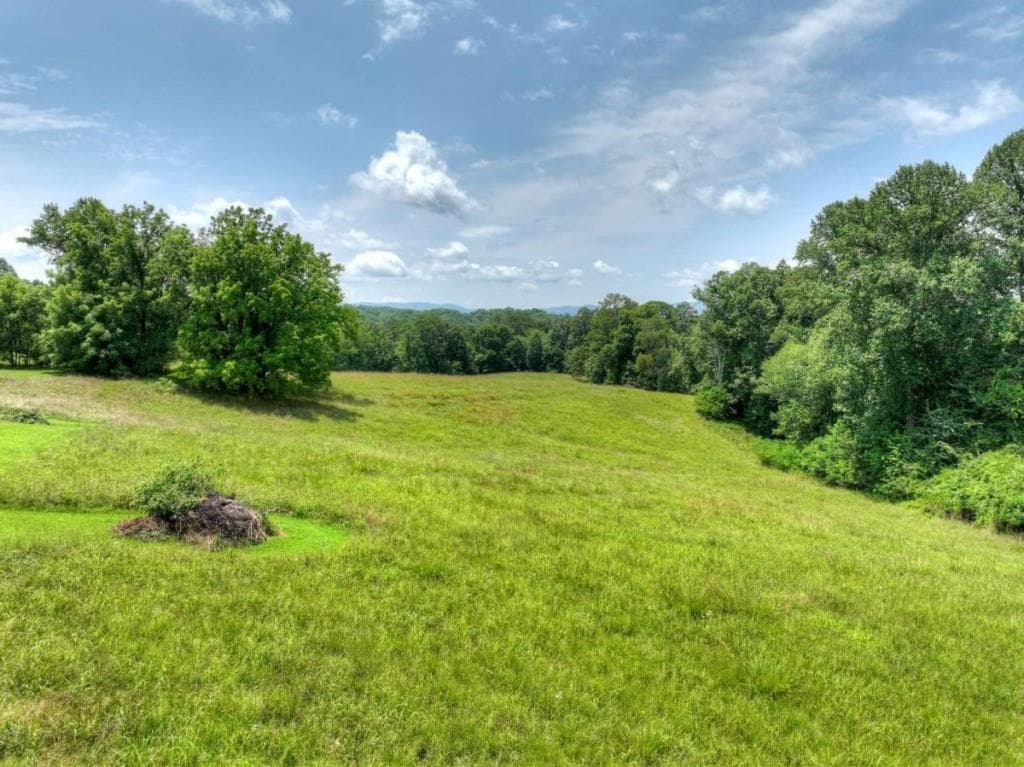 3 bedroom, 2 bathroom, 1,796 sq ft single family residence for sale at 210 Lavista Drive, Blue Ridge, GA 30513 — photo 5