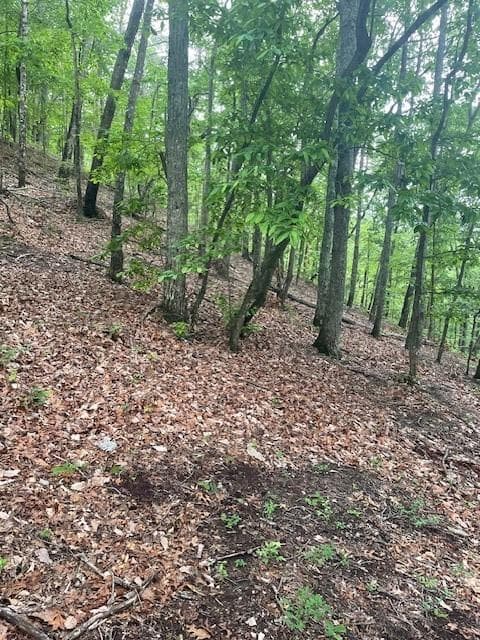 unimproved land for sale at 356 Orieole Court, Ranger, GA 30734 — photo 1 of 16