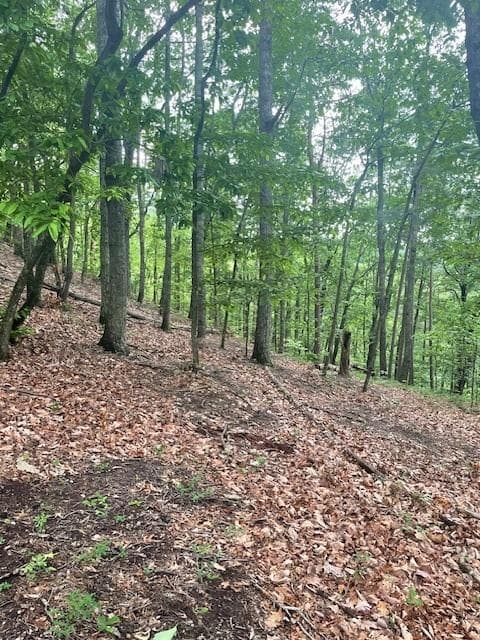 unimproved land for sale at 356 Orieole Court, Ranger, GA 30734 — photo 7