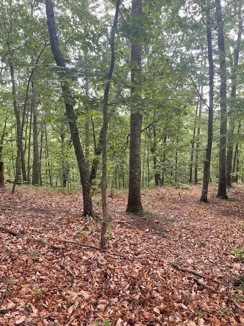 unimproved land for sale at 356 Orieole Court, Ranger, GA 30734 — photo 6