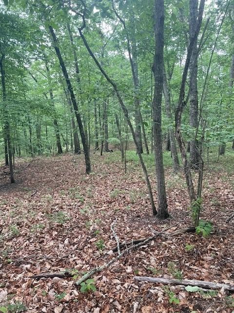 unimproved land for sale at 356 Orieole Court, Ranger, GA 30734 — photo 9
