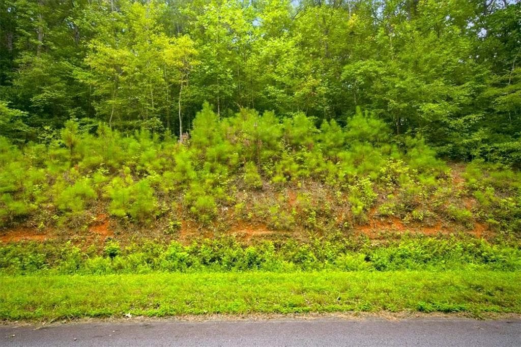 single family residence for sale at 0 J C Daniell, Carrollton, GA 30117 — photo 3