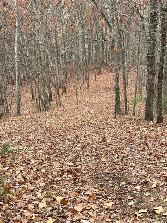 unimproved land for sale at 356 Orieole Court, Ranger, GA 30734 — photo 2