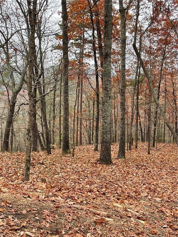 unimproved land for sale at 356 Orieole Court, Ranger, GA 30734 — photo 3
