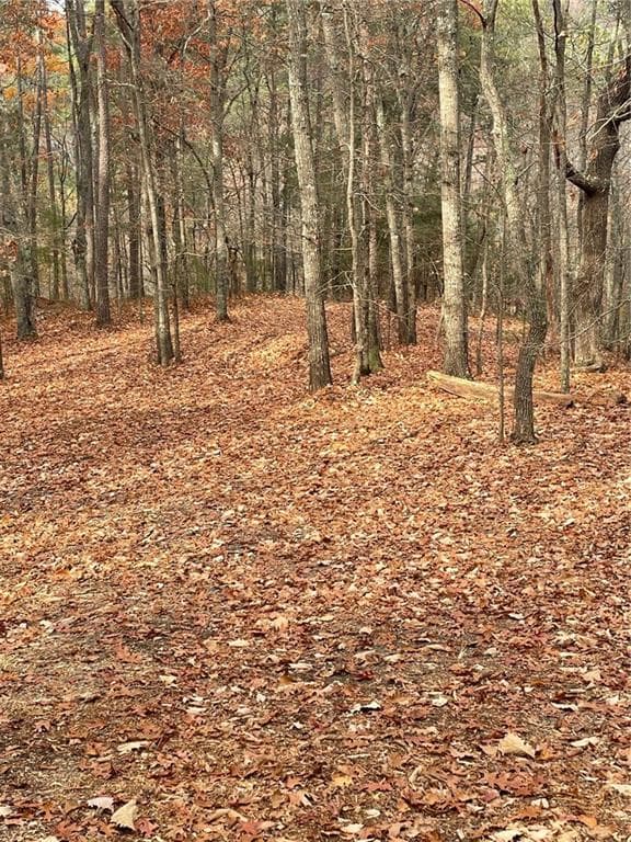 unimproved land for sale at 356 Orieole Court, Ranger, GA 30734 — photo 4