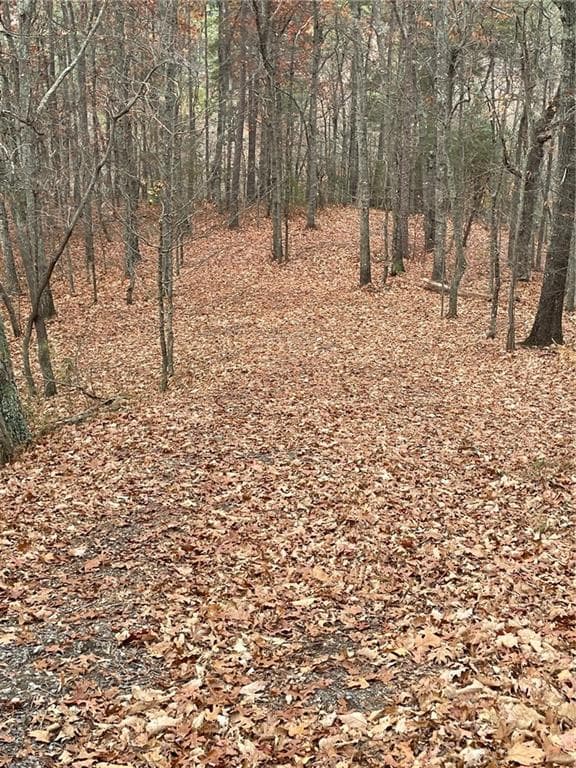 unimproved land for sale at 356 Orieole Court, Ranger, GA 30734 — photo 5