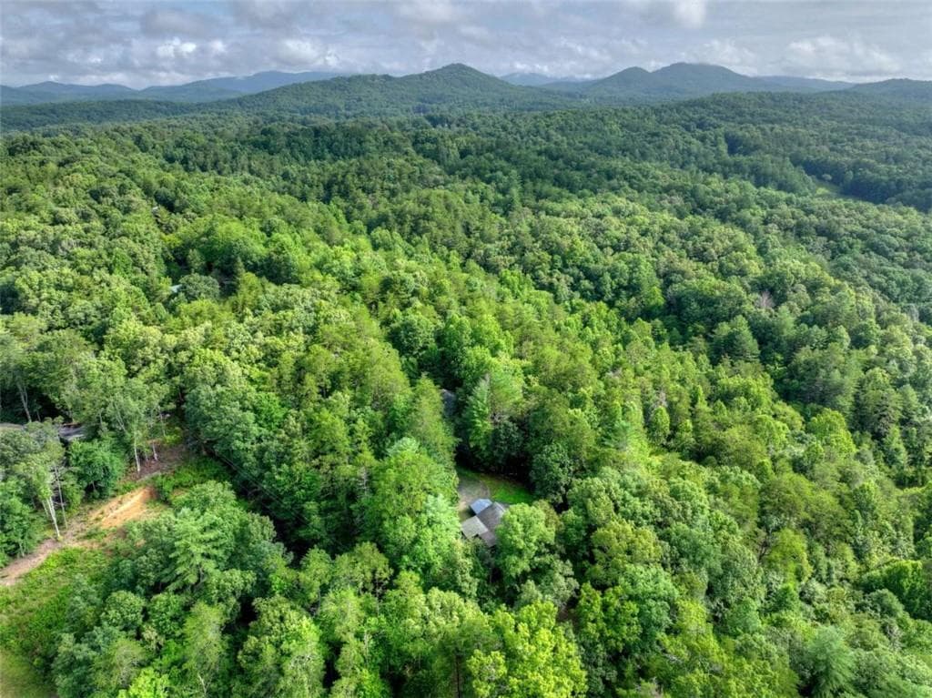 5 bedroom, 3 bathroom, 2,912 sq ft single family residence under contract at 387 Ruby Lane, Mineral Bluff, GA 30559 — photo 4