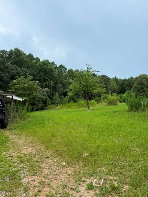 3 bedroom, 2 bathroom, 1,776 sq ft single family residence for sale at 368 Blueberry Ridge Road, La Fayette, GA 30728 — photo 7