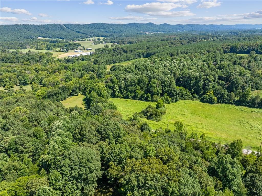 unimproved land for sale at 0 Mount Pisgah Road, Ringgold, GA 30736 — photo 5