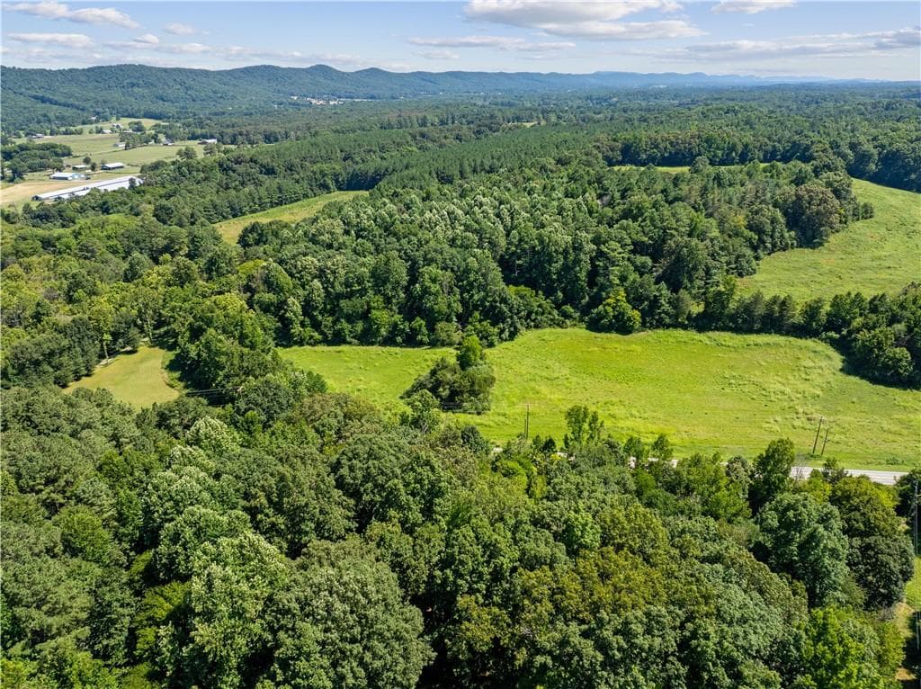 unimproved land for sale at 0 Mount Pisgah Road, Ringgold, GA 30736 — photo 6