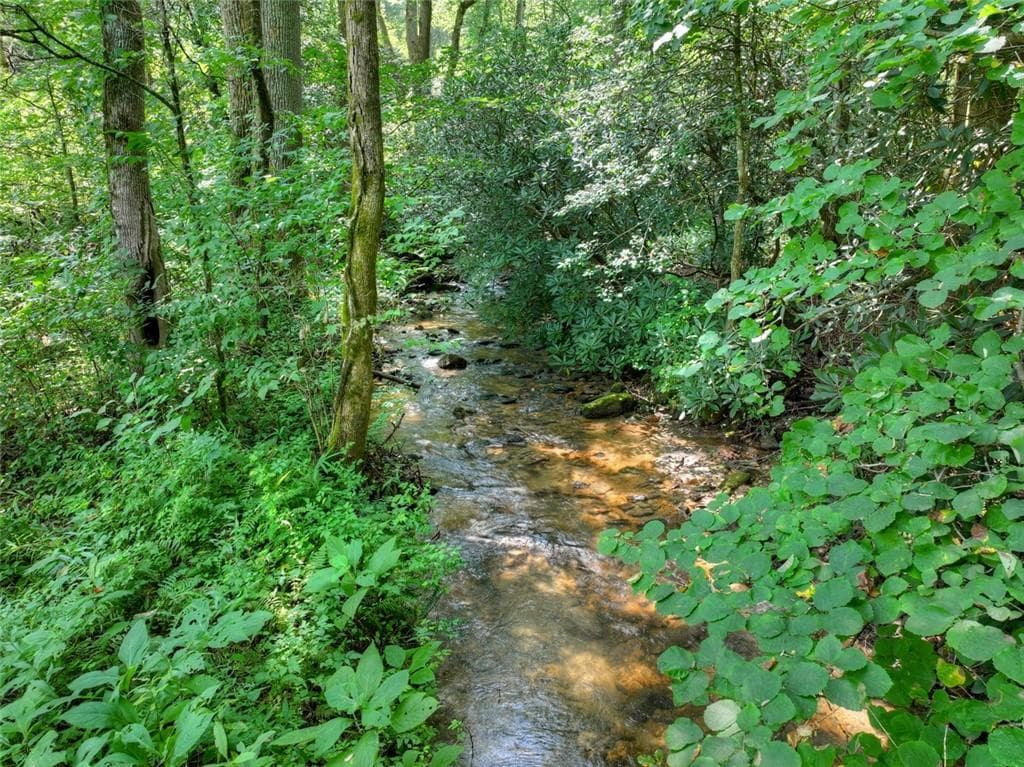 2 bedroom, 2 bathroom, 888 sq ft single family residence for sale at 261 Frosty Mountain Trail, Ellijay, GA 30536 — photo 3