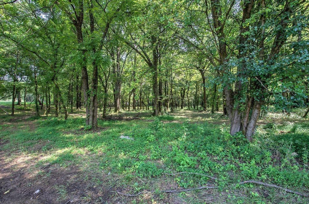 single family residence for sale at 10 Faith Lane, Cartersville, GA 30120 — photo 8