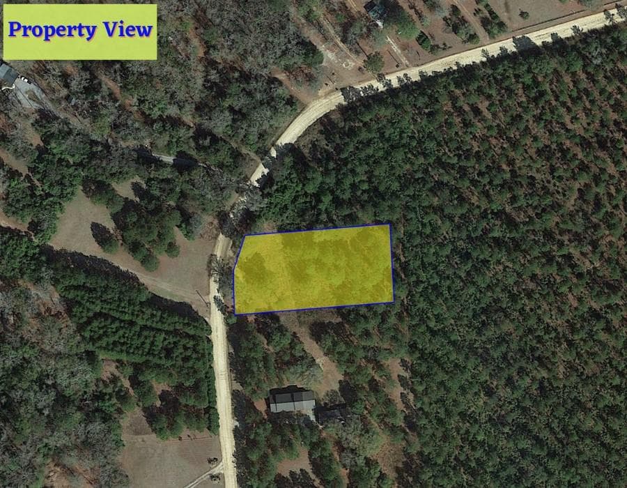 unimproved land for sale at 1 Jenny Lynn Lane, Fort Gaines, GA 39851 — photo 1 of 13