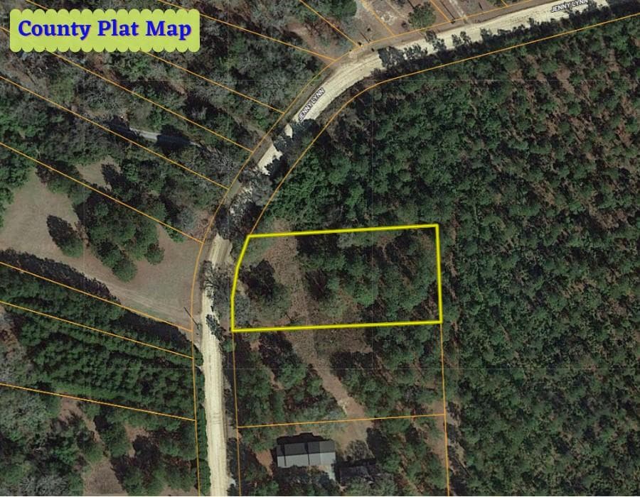 unimproved land for sale at 1 Jenny Lynn Lane, Fort Gaines, GA 39851 — photo 2