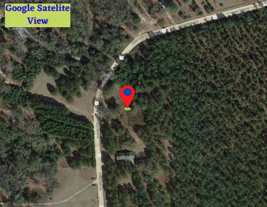 unimproved land for sale at 1 Jenny Lynn Lane, Fort Gaines, GA 39851 — photo 4