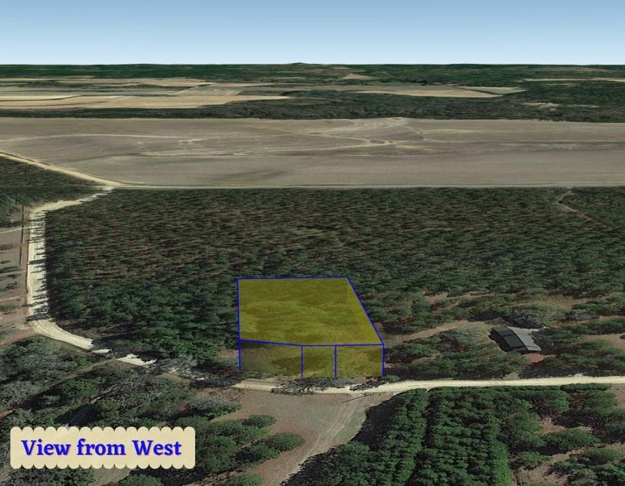 unimproved land for sale at 1 Jenny Lynn Lane, Fort Gaines, GA 39851 — photo 8