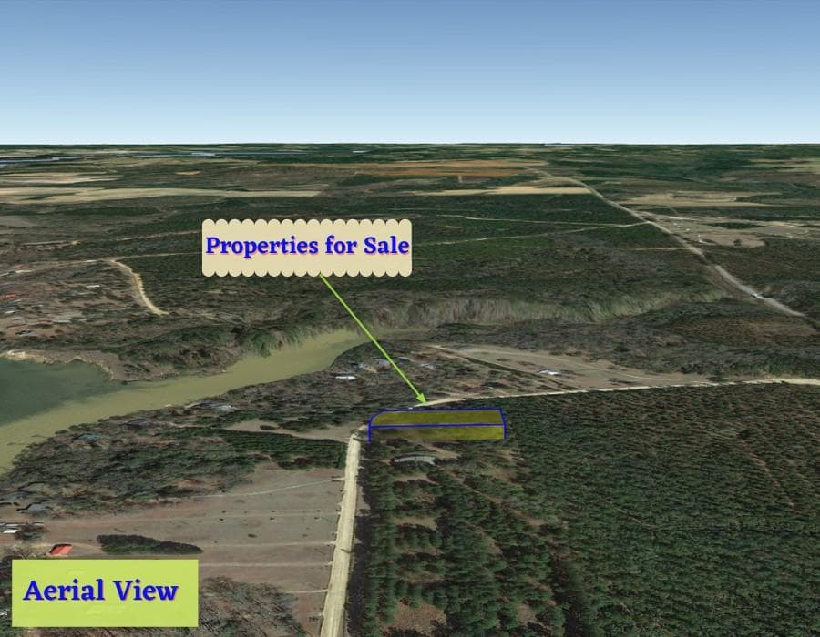 unimproved land for sale at 1 Jenny Lynn Lane, Fort Gaines, GA 39851 — photo 9