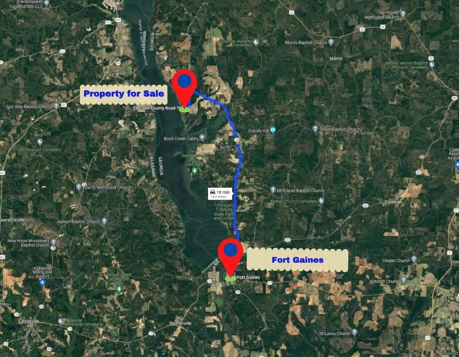 unimproved land for sale at 1 Jenny Lynn Lane, Fort Gaines, GA 39851 — photo 10