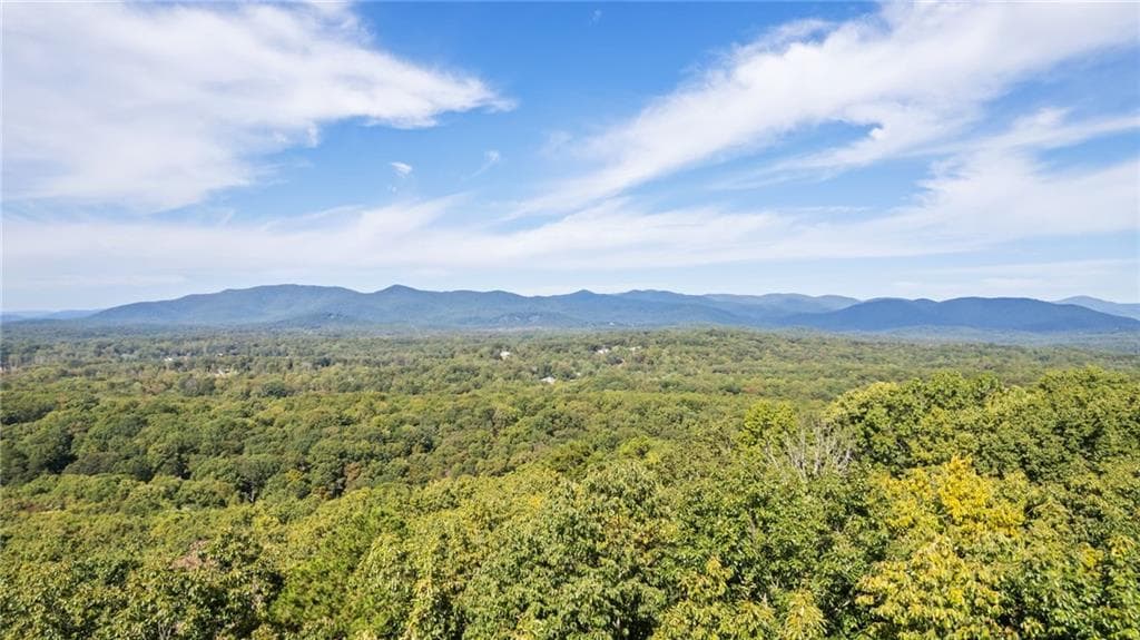 other for sale at 4092 Helen Highway, Cleveland, GA 30528 — photo 4