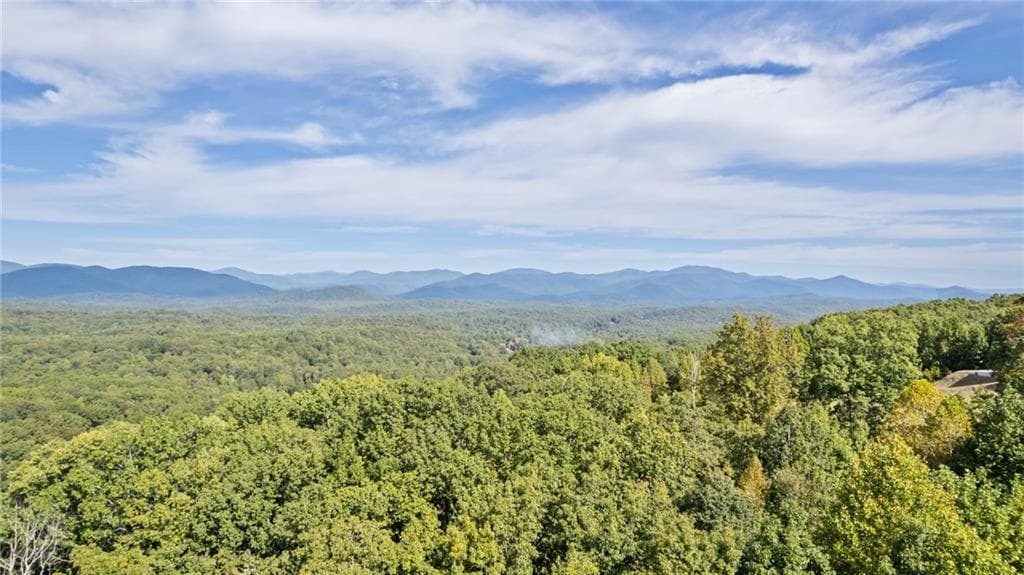 other for sale at 4092 Helen Highway, Cleveland, GA 30528 — photo 1 of 12