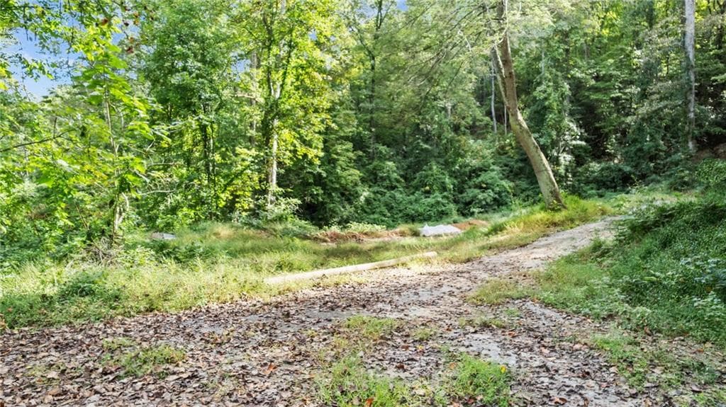 other for sale at 4092 Helen Highway, Cleveland, GA 30528 — photo 8
