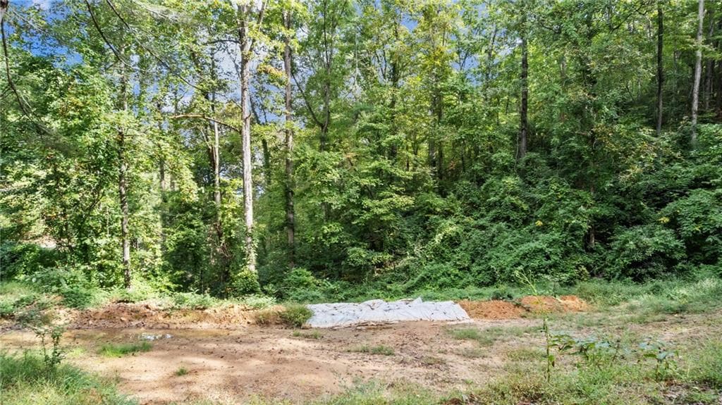 other for sale at 4092 Helen Highway, Cleveland, GA 30528 — photo 9