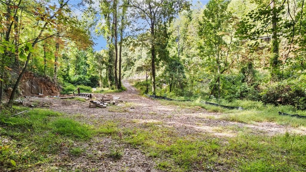 other for sale at 4092 Helen Highway, Cleveland, GA 30528 — photo 5