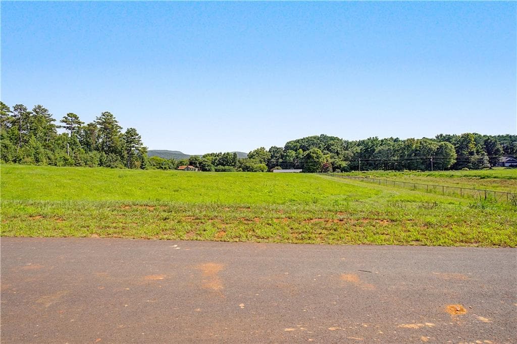 single family residence for sale at 118 Palisade Drive, Rydal, GA 30171 — photo 2
