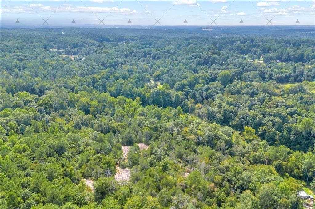 other for sale at 2265 Rockbridge Road, Conyers, GA 30012 — photo 9