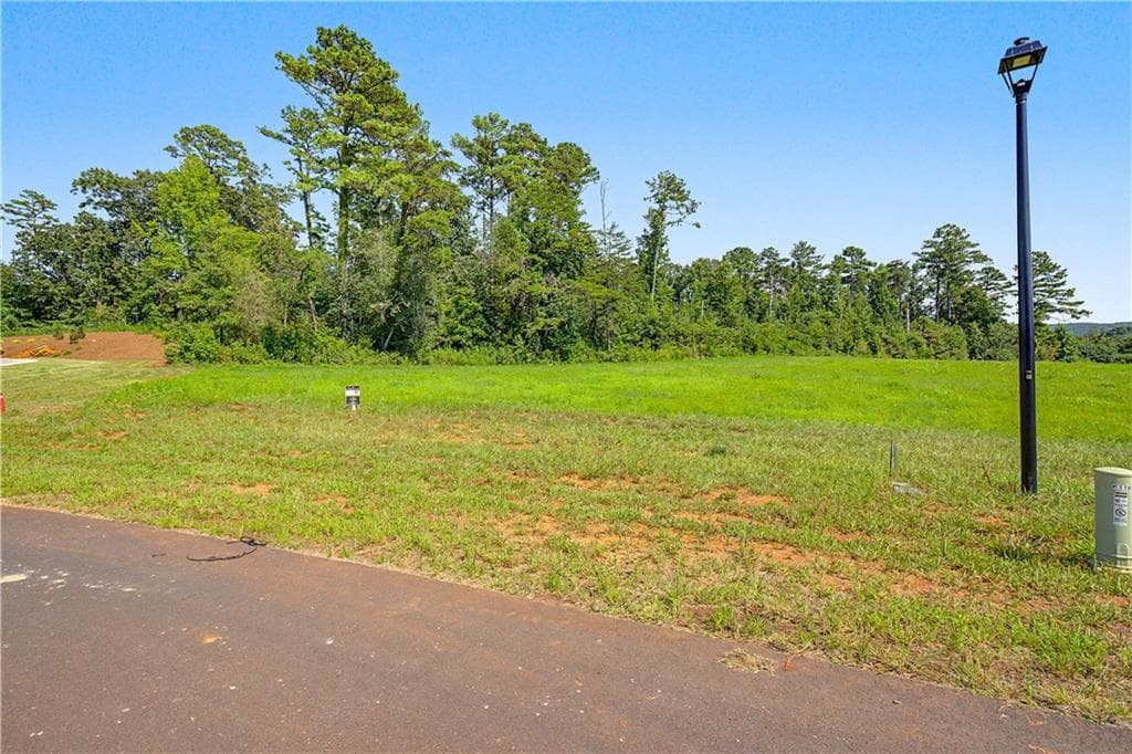 single family residence for sale at 120 Palisade Drive, Rydal, GA 30171 — photo 2