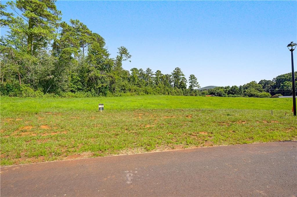 single family residence for sale at 120 Palisade Drive, Rydal, GA 30171 — photo 3
