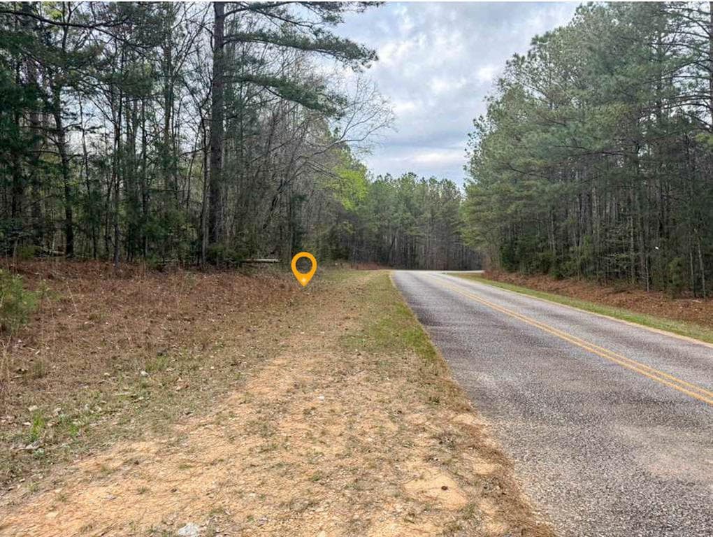 unimproved land for sale at 0 Shallow Creek Rd., Elberton, GA 30635 — photo 2