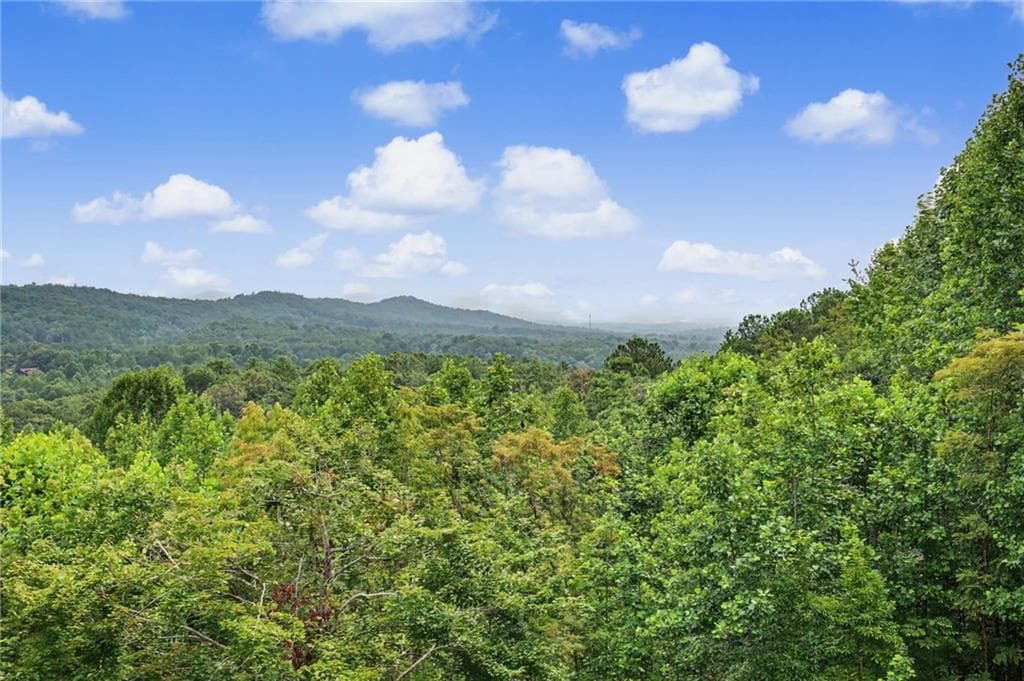 4 bedroom, 4 bathroom, 2,612 sq ft single family residence for sale at 9 Queens Court, Blairsville, GA 30512 — photo 6