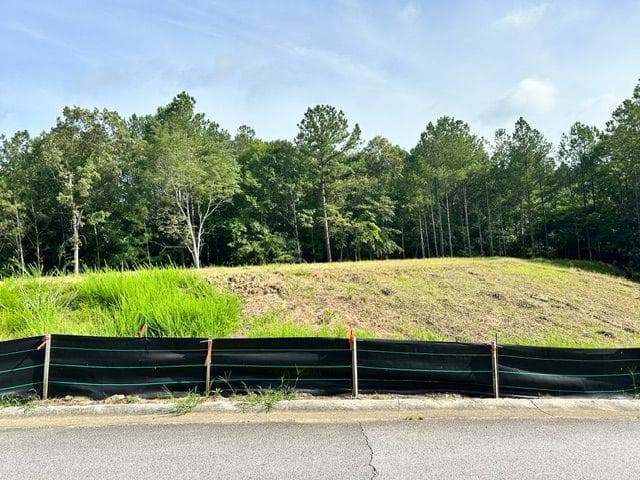 single family residence for sale at 389 Timothy Drive, Dallas, GA 30132 — photo 5