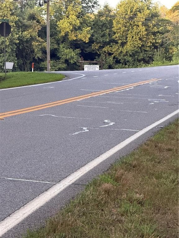 unimproved land for sale at 0 Hwy 52 W Highway, Dahlonega, GA 30533 — photo 2