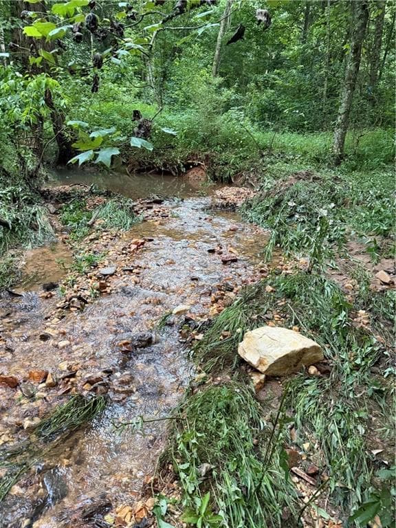 unimproved land for sale at 0 Hwy 52 W Highway, Dahlonega, GA 30533 — photo 3
