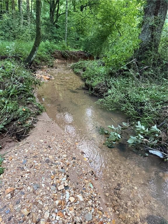 unimproved land for sale at 0 Hwy 52 W Highway, Dahlonega, GA 30533 — photo 4