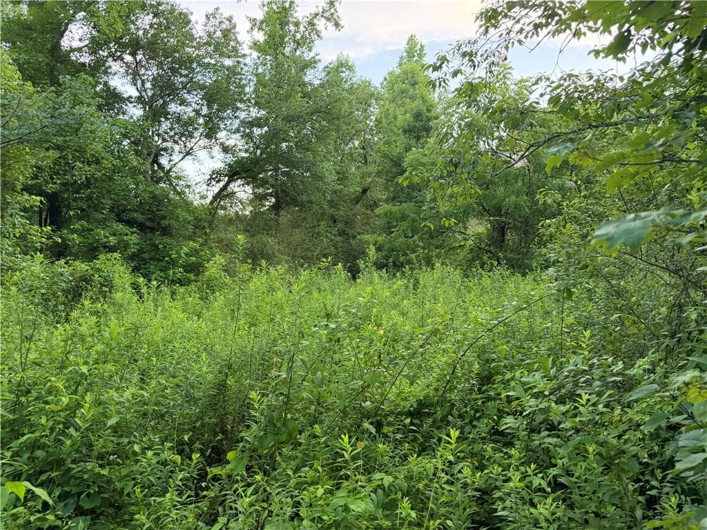 unimproved land for sale at 0 Hwy 52 W Highway, Dahlonega, GA 30533 — photo 7