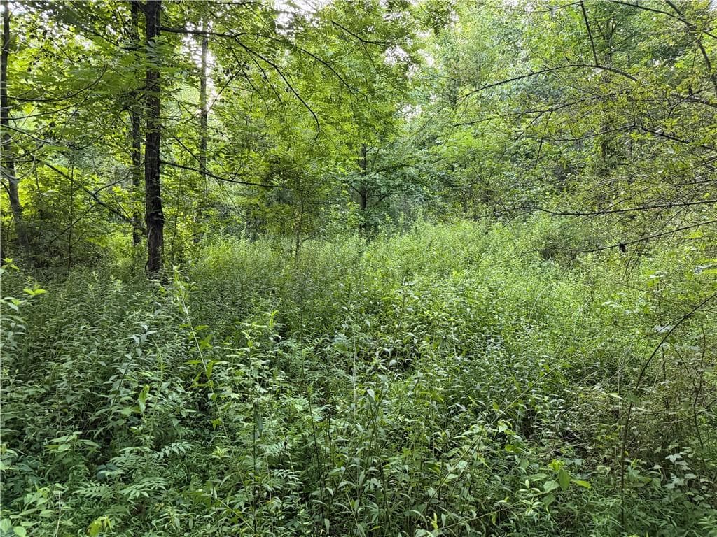 unimproved land for sale at 0 Hwy 52 W Highway, Dahlonega, GA 30533 — photo 8