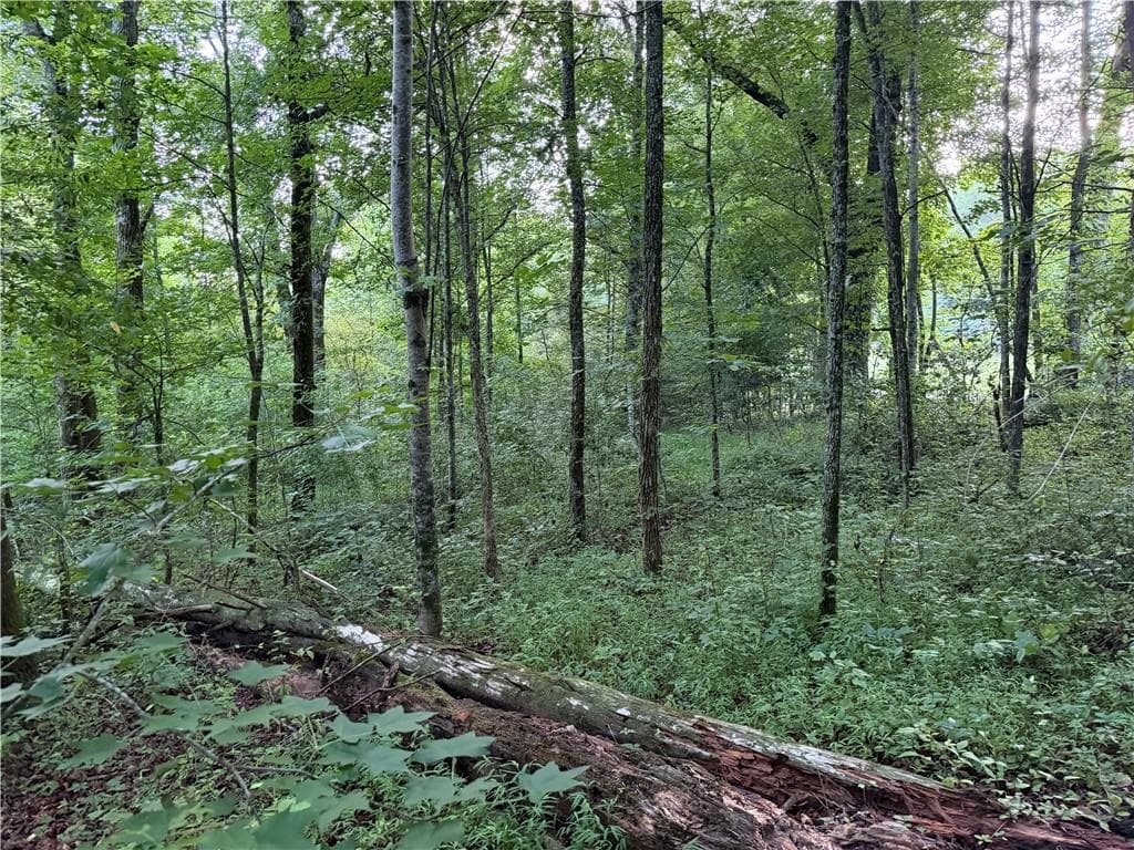 unimproved land for sale at 0 Hwy 52 W Highway, Dahlonega, GA 30533 — photo 9