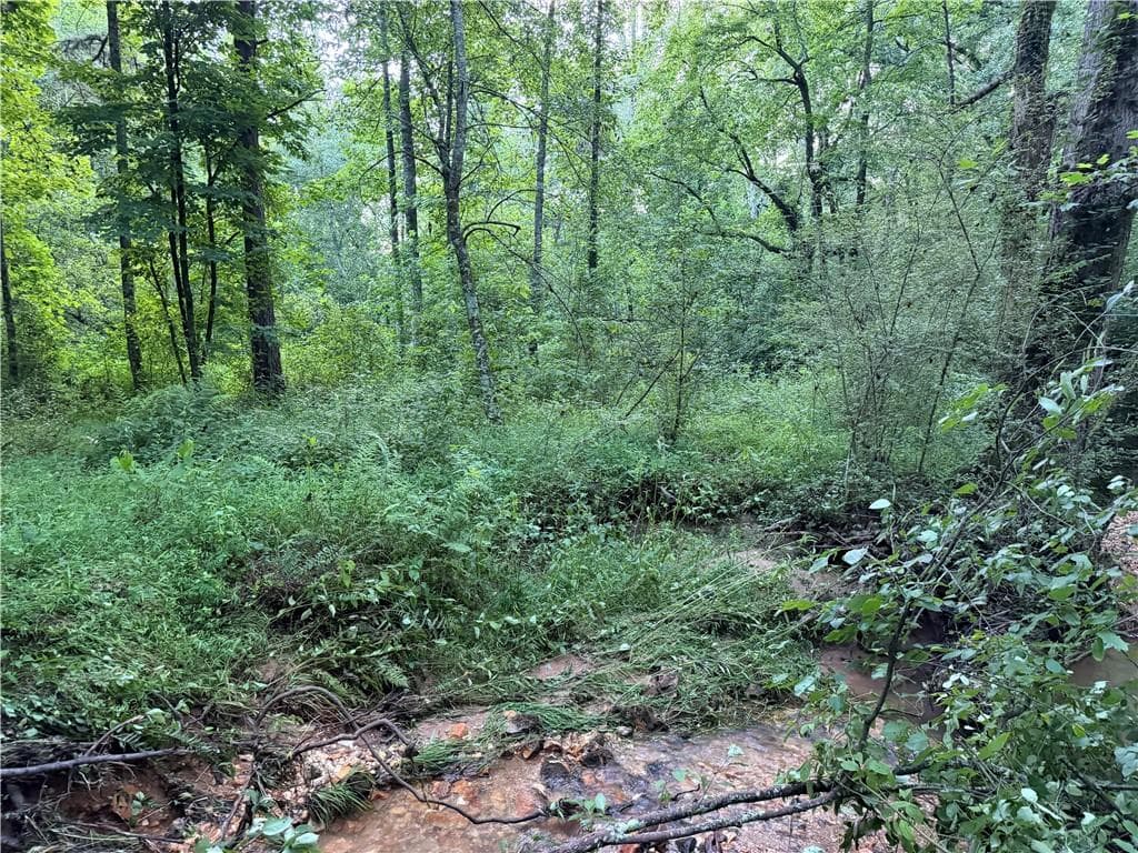 unimproved land for sale at 0 Hwy 52 W Highway, Dahlonega, GA 30533 — photo 10