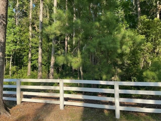 other for sale at 145 Travelers Way, Richmond Hill, GA 31324 — photo 3