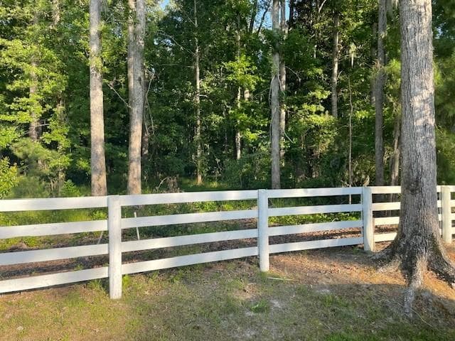 other for sale at 145 Travelers Way, Richmond Hill, GA 31324 — photo 4
